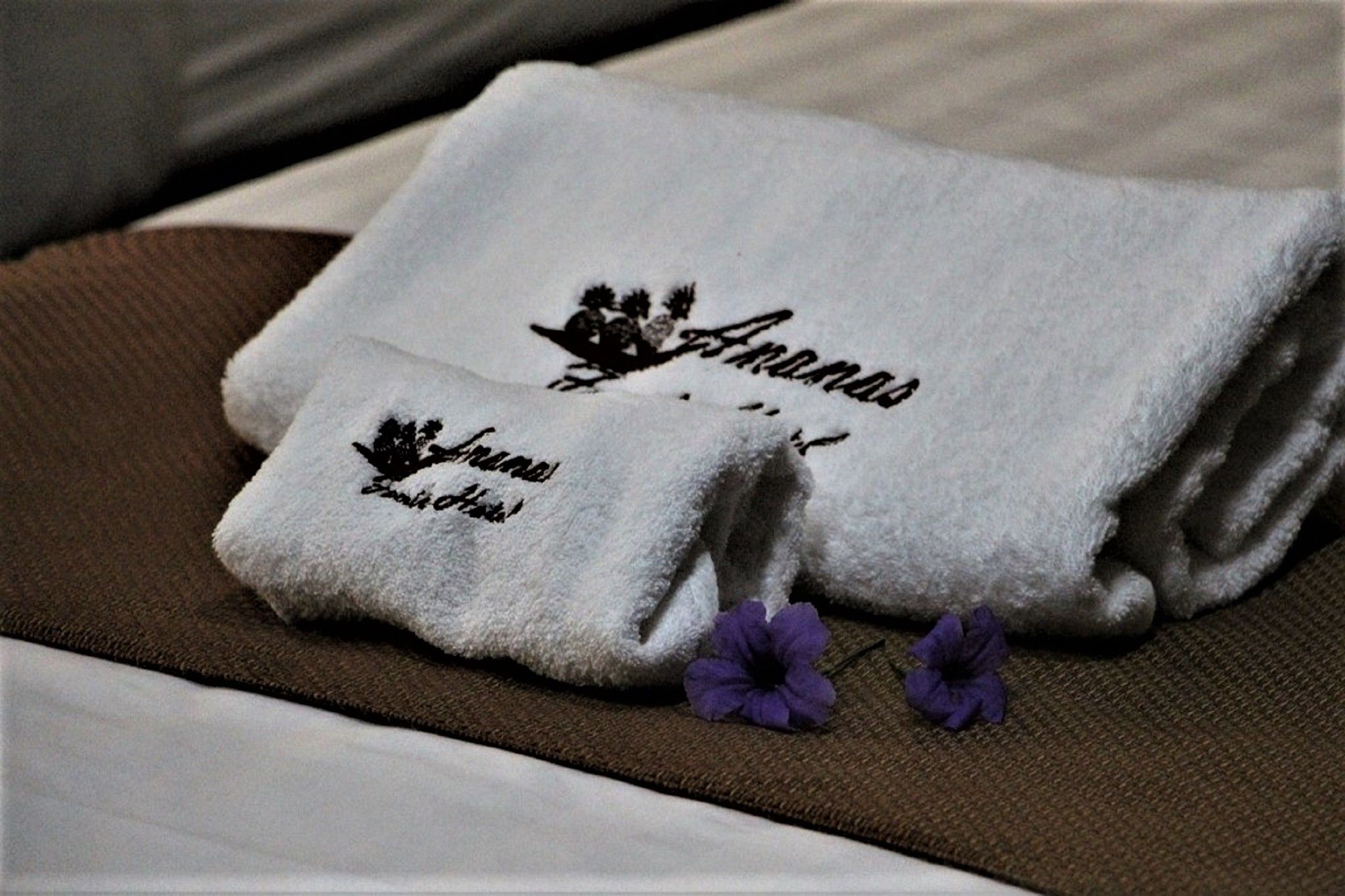 Ananas Family Hotel Ho Chi Minh-byen Eksteriør bilde