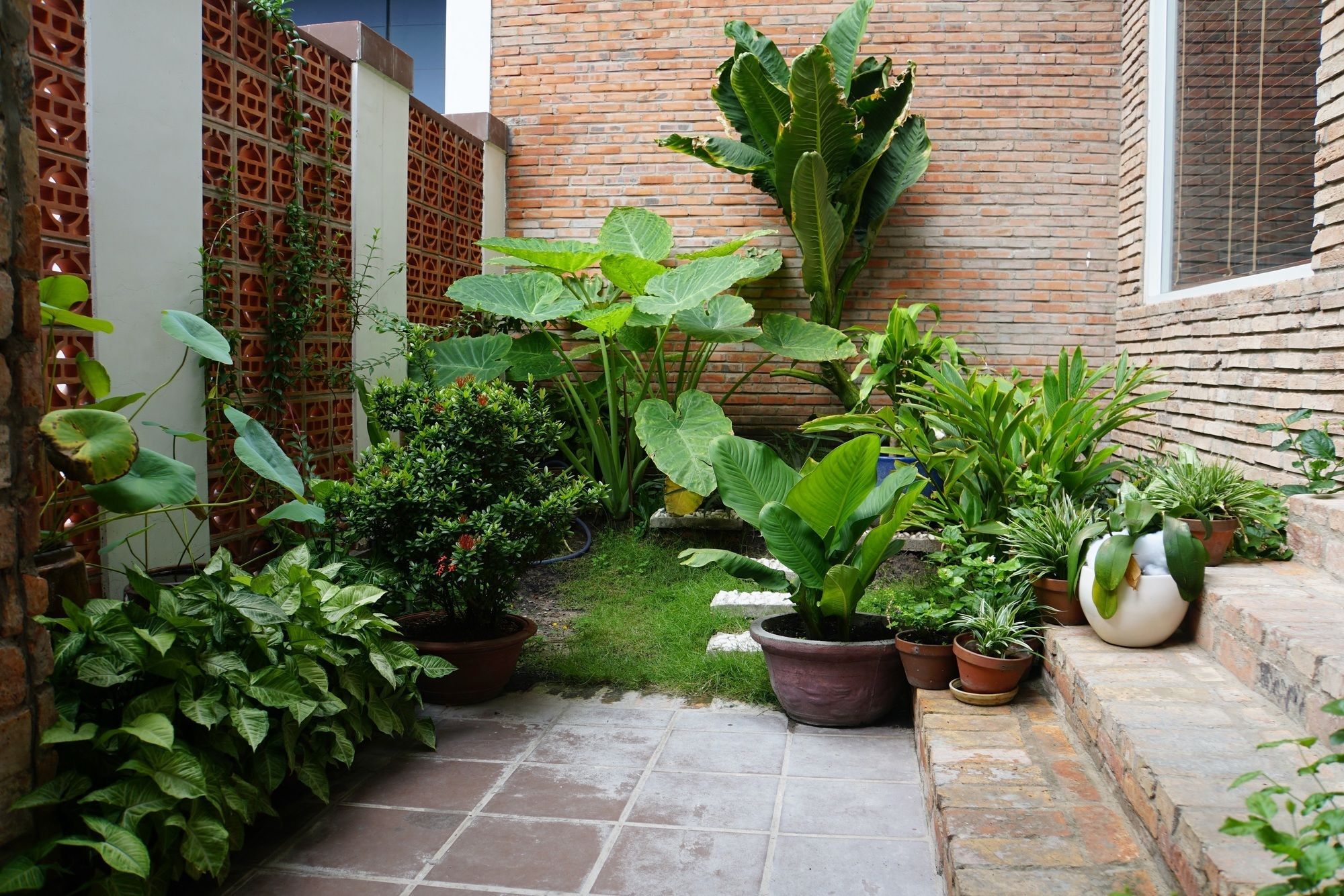 Ananas Family Hotel Ho Chi Minh-byen Eksteriør bilde